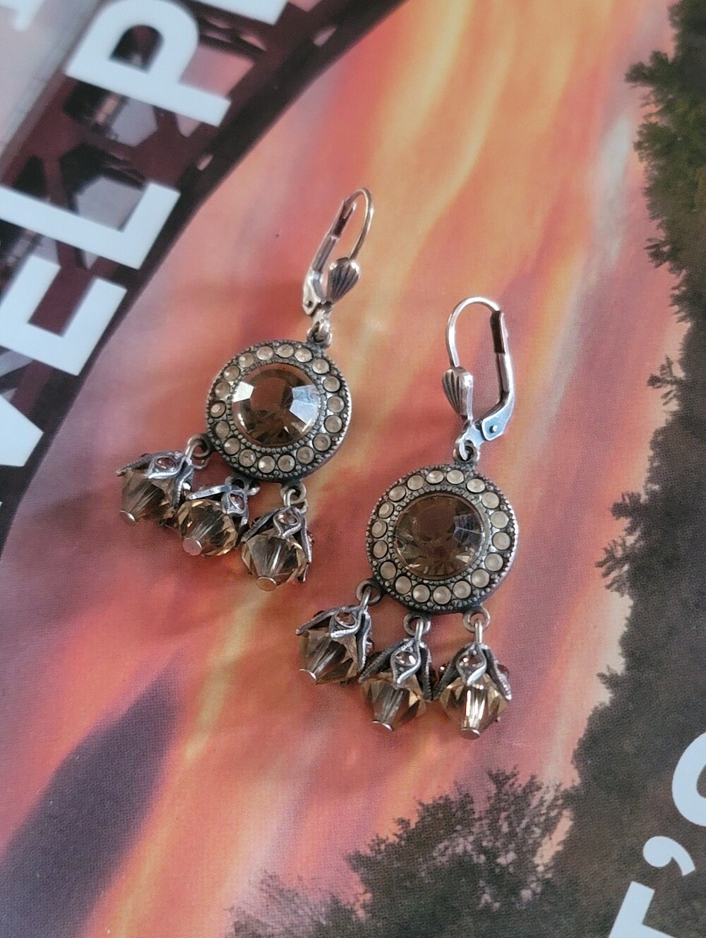 Crystal Circle Dangle Earrings